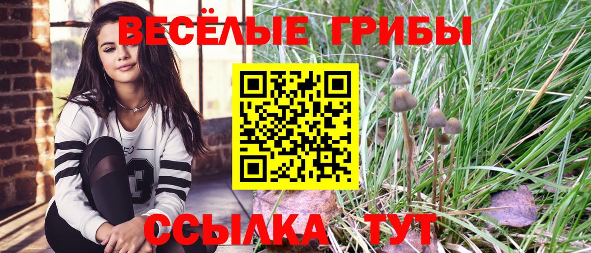 Воронеж  Псилоцибиновые грибы Magic Shrooms  Вход с VPN 