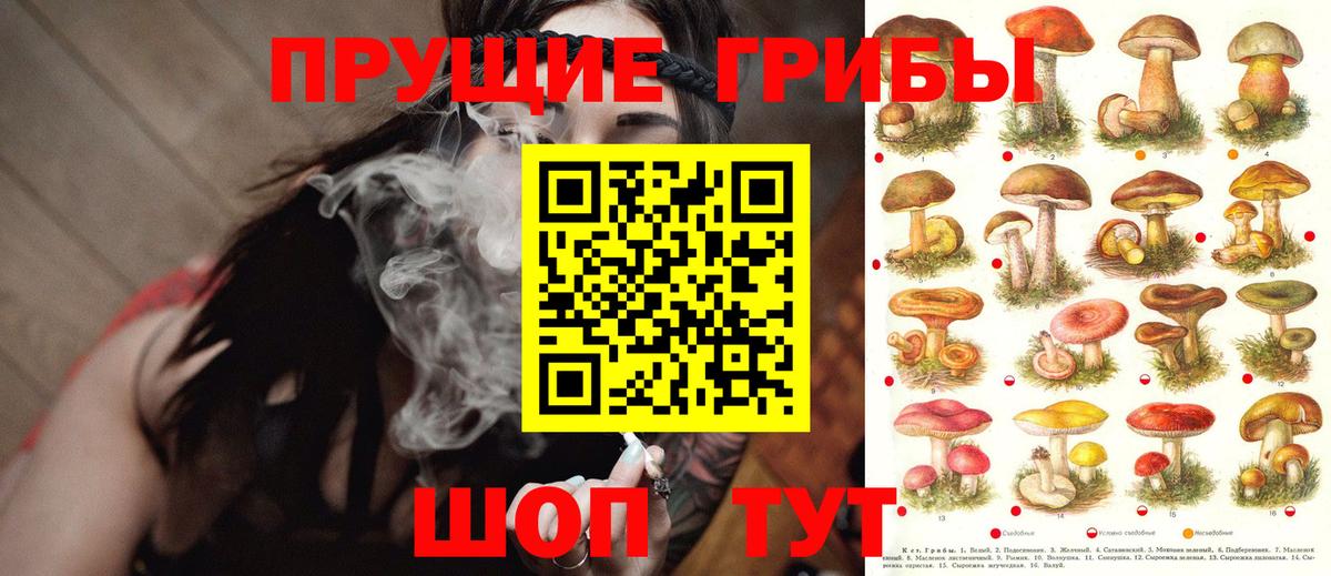 Галлюциногенные грибы ЛСД Воронеж